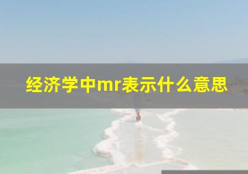 经济学中mr表示什么意思