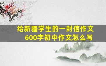 给新疆学生的一封信作文600字初中作文怎么写