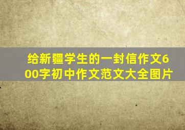 给新疆学生的一封信作文600字初中作文范文大全图片