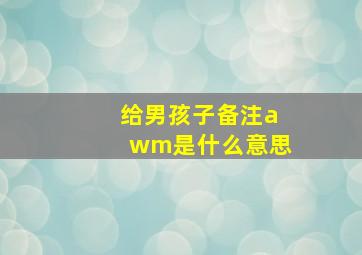 给男孩子备注awm是什么意思