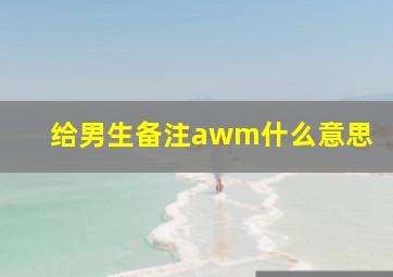 给男生备注awm什么意思