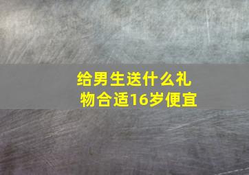 给男生送什么礼物合适16岁便宜