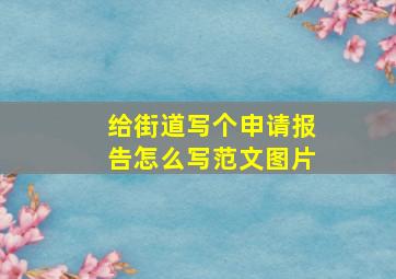 给街道写个申请报告怎么写范文图片