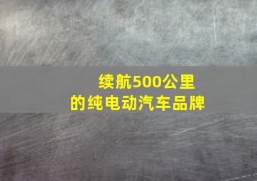 续航500公里的纯电动汽车品牌