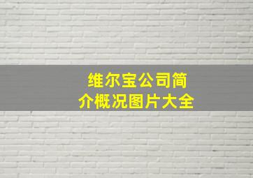 维尔宝公司简介概况图片大全