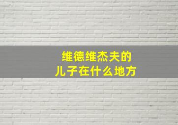 维德维杰夫的儿子在什么地方