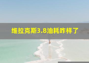 维拉克斯3.8油耗咋样了