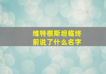 维特根斯坦临终前说了什么名字