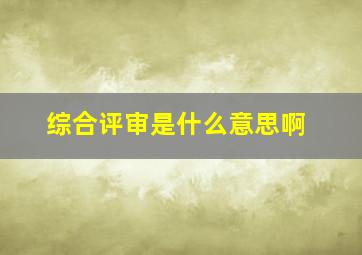 综合评审是什么意思啊