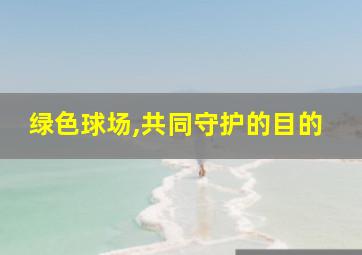 绿色球场,共同守护的目的