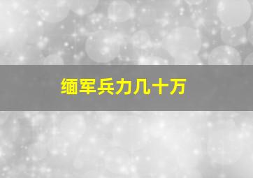 缅军兵力几十万