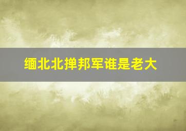 缅北北掸邦军谁是老大