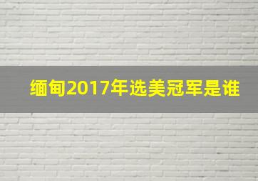 缅甸2017年选美冠军是谁