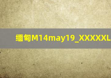 缅甸M14may19_XXXXXL56endian