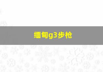 缅甸g3步枪