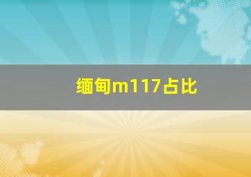 缅甸m117占比