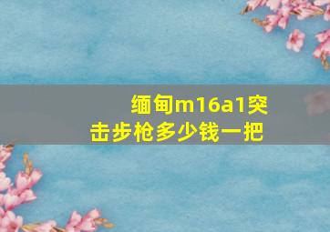 缅甸m16a1突击步枪多少钱一把