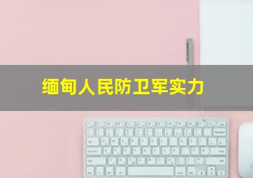 缅甸人民防卫军实力