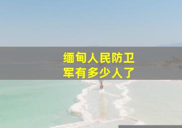 缅甸人民防卫军有多少人了