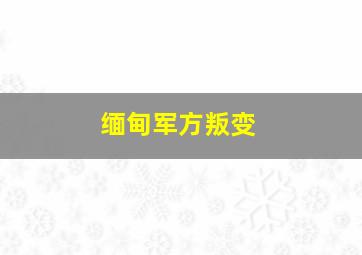 缅甸军方叛变