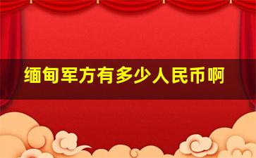 缅甸军方有多少人民币啊