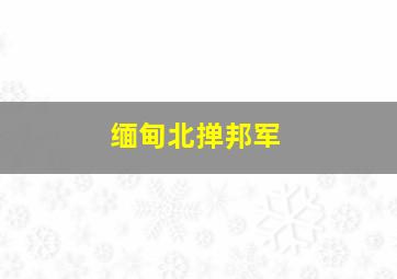 缅甸北掸邦军