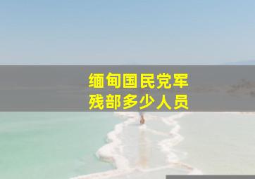 缅甸国民党军残部多少人员