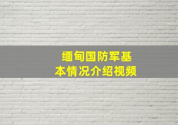 缅甸国防军基本情况介绍视频