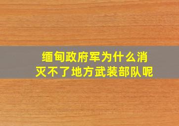 缅甸政府军为什么消灭不了地方武装部队呢