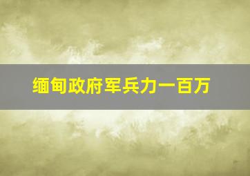 缅甸政府军兵力一百万