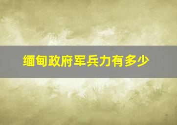 缅甸政府军兵力有多少