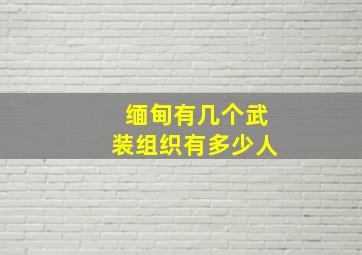 缅甸有几个武装组织有多少人