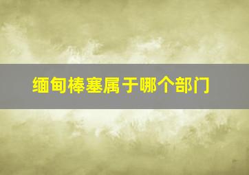 缅甸棒塞属于哪个部门