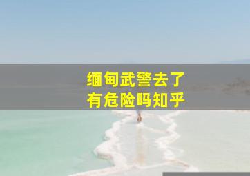 缅甸武警去了有危险吗知乎