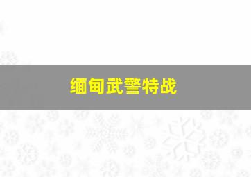 缅甸武警特战