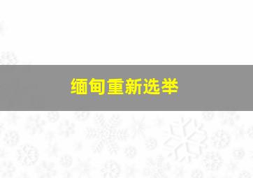 缅甸重新选举