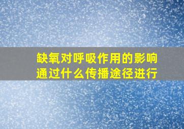 缺氧对呼吸作用的影响通过什么传播途径进行