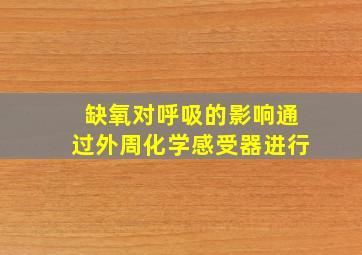 缺氧对呼吸的影响通过外周化学感受器进行