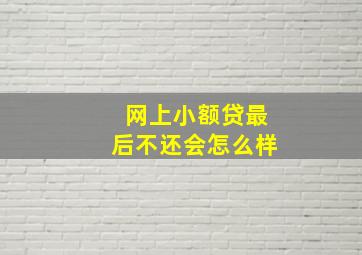 网上小额贷最后不还会怎么样