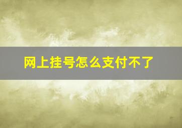 网上挂号怎么支付不了