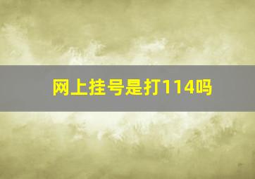 网上挂号是打114吗