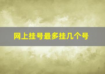 网上挂号最多挂几个号