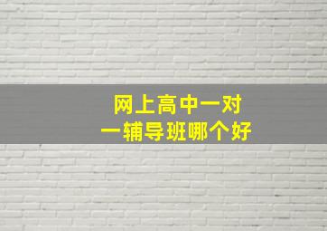 网上高中一对一辅导班哪个好