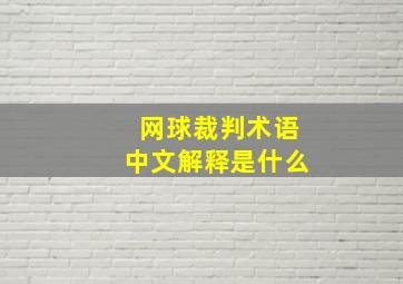 网球裁判术语中文解释是什么