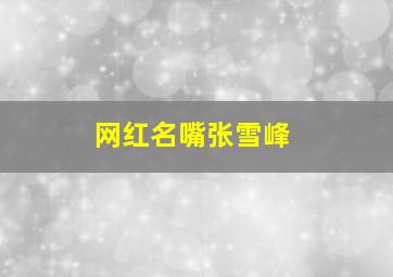 网红名嘴张雪峰