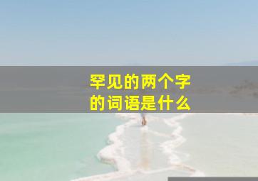 罕见的两个字的词语是什么