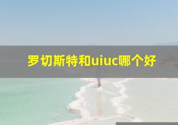 罗切斯特和uiuc哪个好