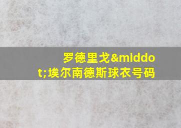 罗德里戈·埃尔南德斯球衣号码