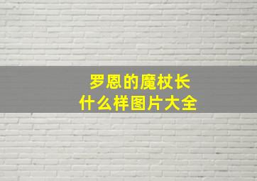 罗恩的魔杖长什么样图片大全