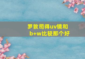 罗敦司得uv镜和b+w比较那个好